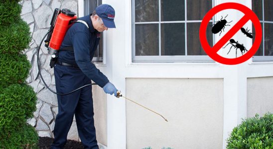 Defne Dezenfeksiyon böcek ilaçlama ve haşere kontrolü — ilaclama-tr.com
